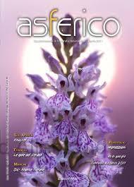 Magazine Asferico