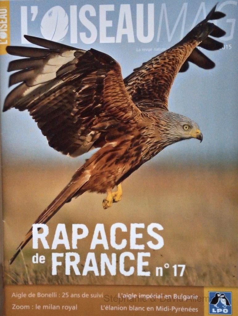 Rapaces de France n°17