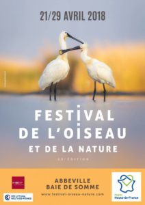 28 ème édition du Festival de l’Oiseau en Baie de Somme