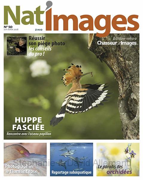 Nat’Images n°50