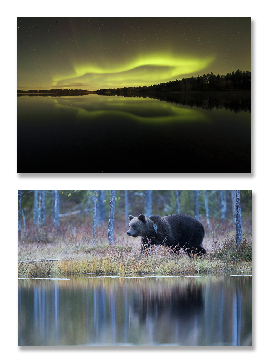 Finlande, tons d'automne