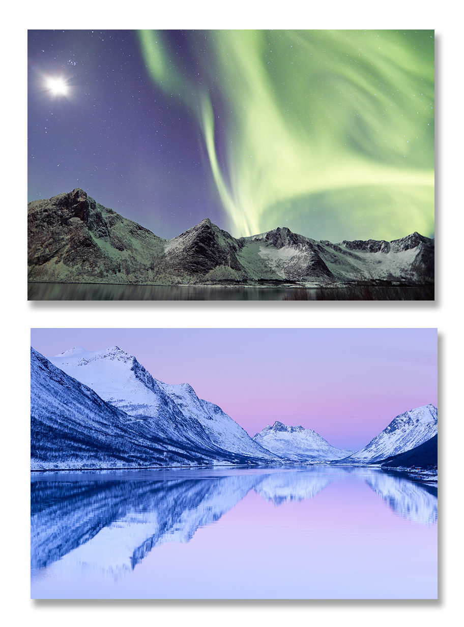 Norvège, hiver boréal et baleines