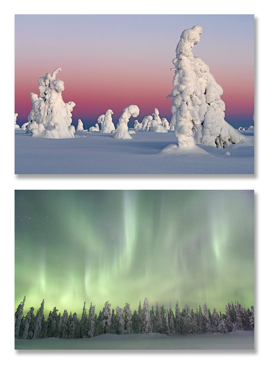 Finlande, chouettes, aurores boréales