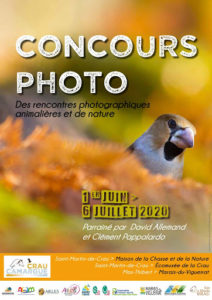 Rencontres photographiques animalières et de nature à Saint-Martin-de-Crau