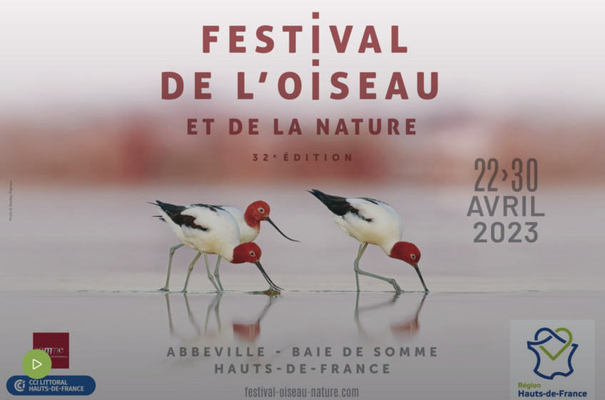 32ème édition Du Festival De Loiseau Et De La Nature Stéphanie Et David Allemand Photographes