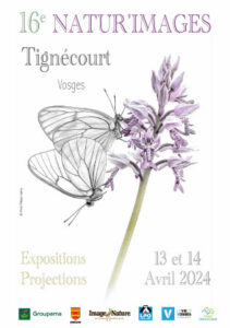 Tignécourt Festival
