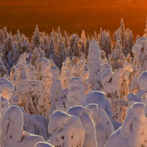 Songe d'hiver