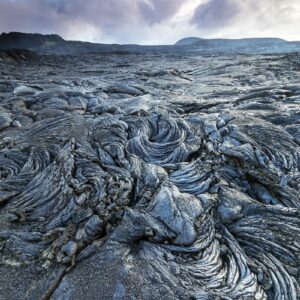 Terre des origines