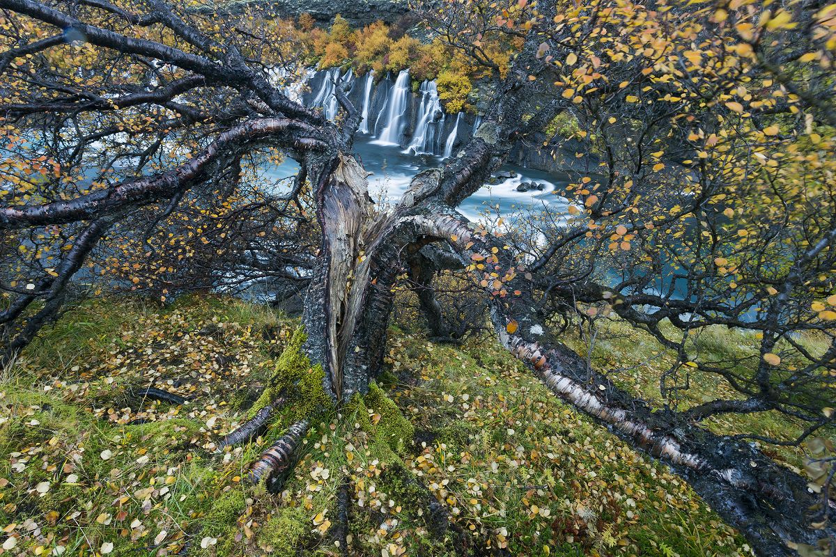 Essentiel