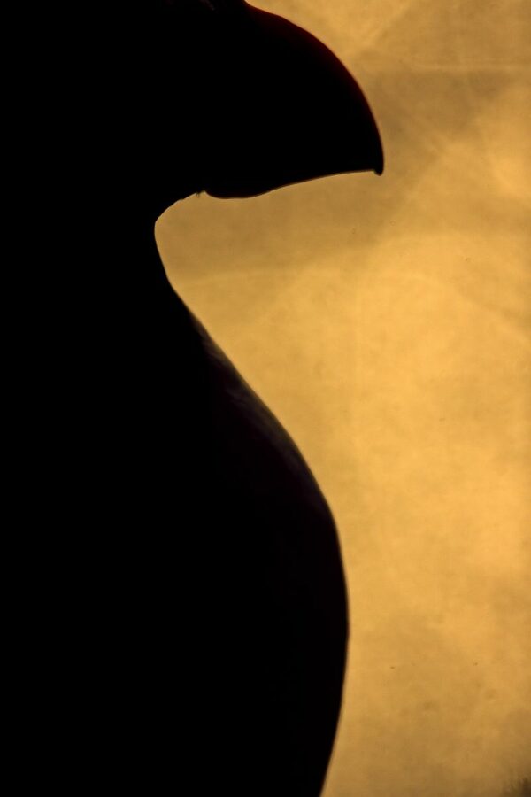 Totem