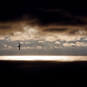 Entre vent et mer