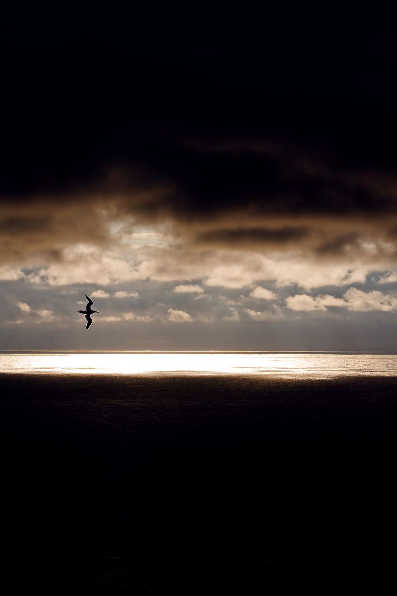 Entre vent et mer