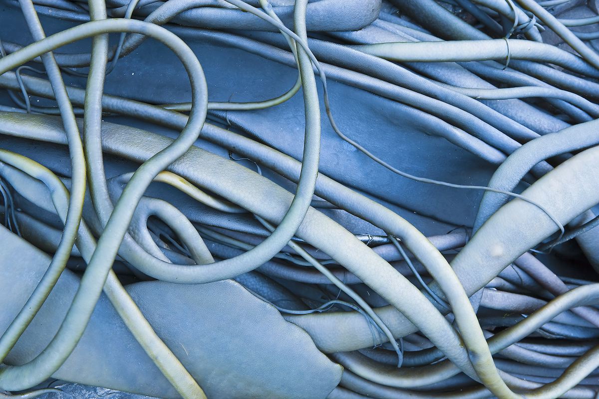 Intertwined