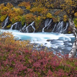 Autumn Symphony