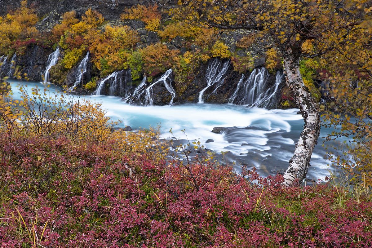 Autumn Symphony