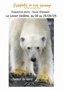 Escapades en vies sauvages