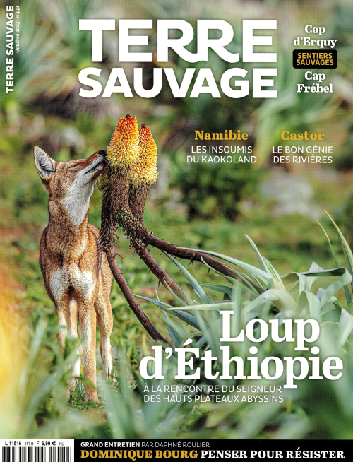 Terre sauvage n° 441