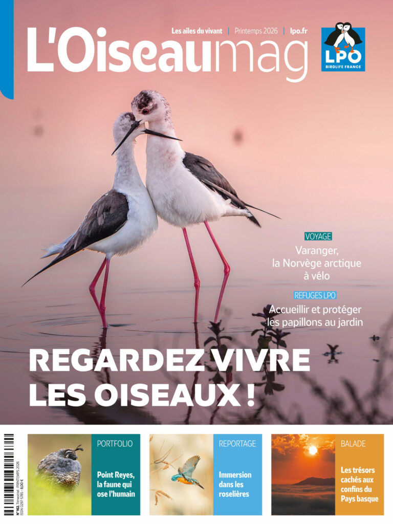 L’Oiseaumag n°162